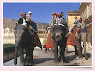 Amer fort elephant ride